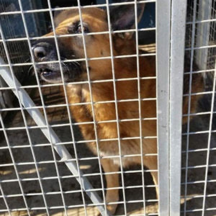 Guilty NOT Innocent!!!