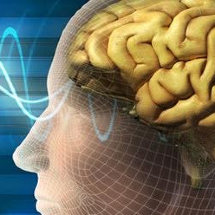 Snatching Joy From The Jaws of Despair!