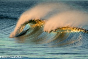 wave