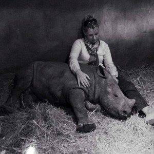 Rhino 7