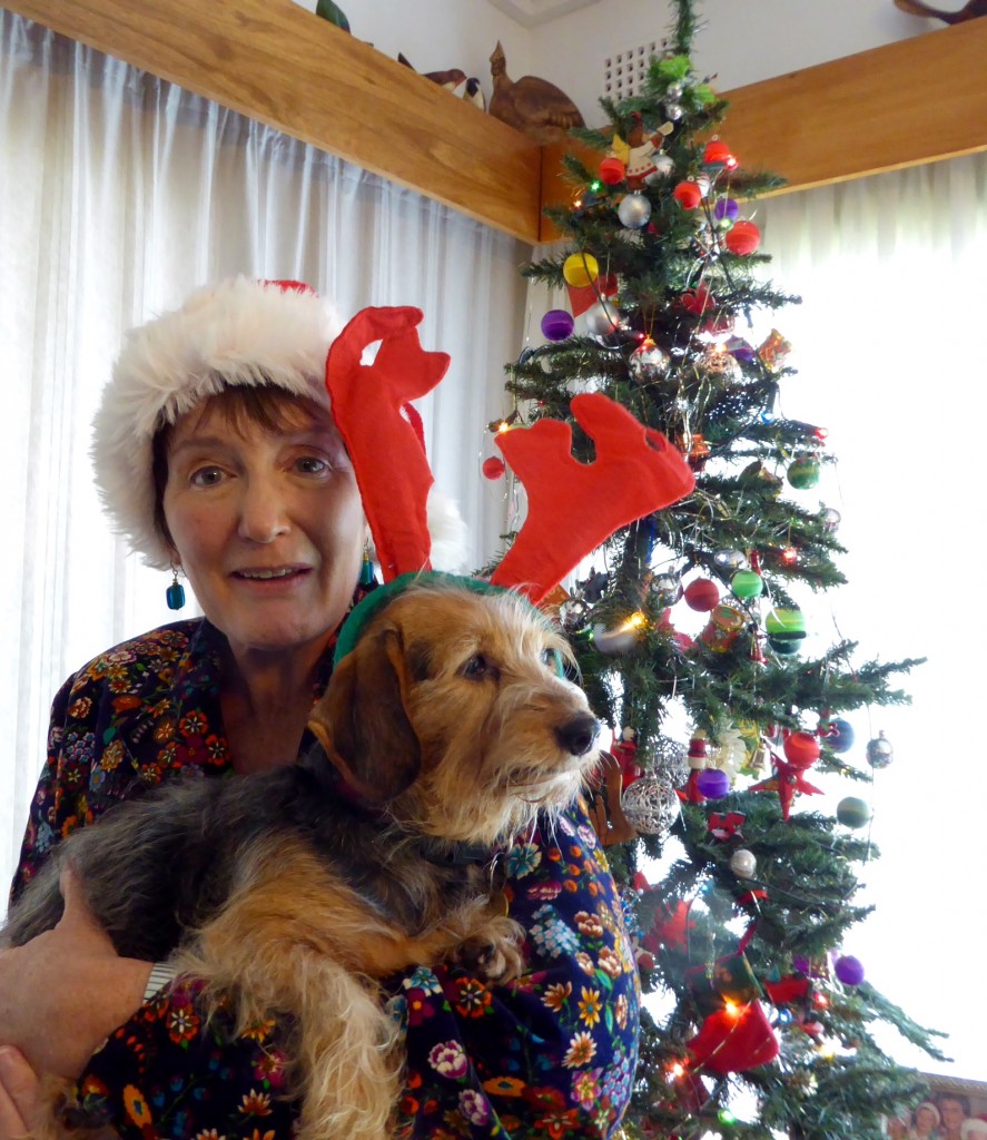 xmas 2014 1
