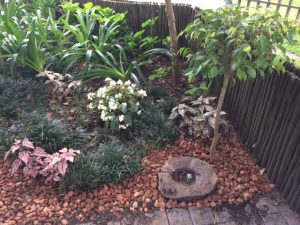 garden-1