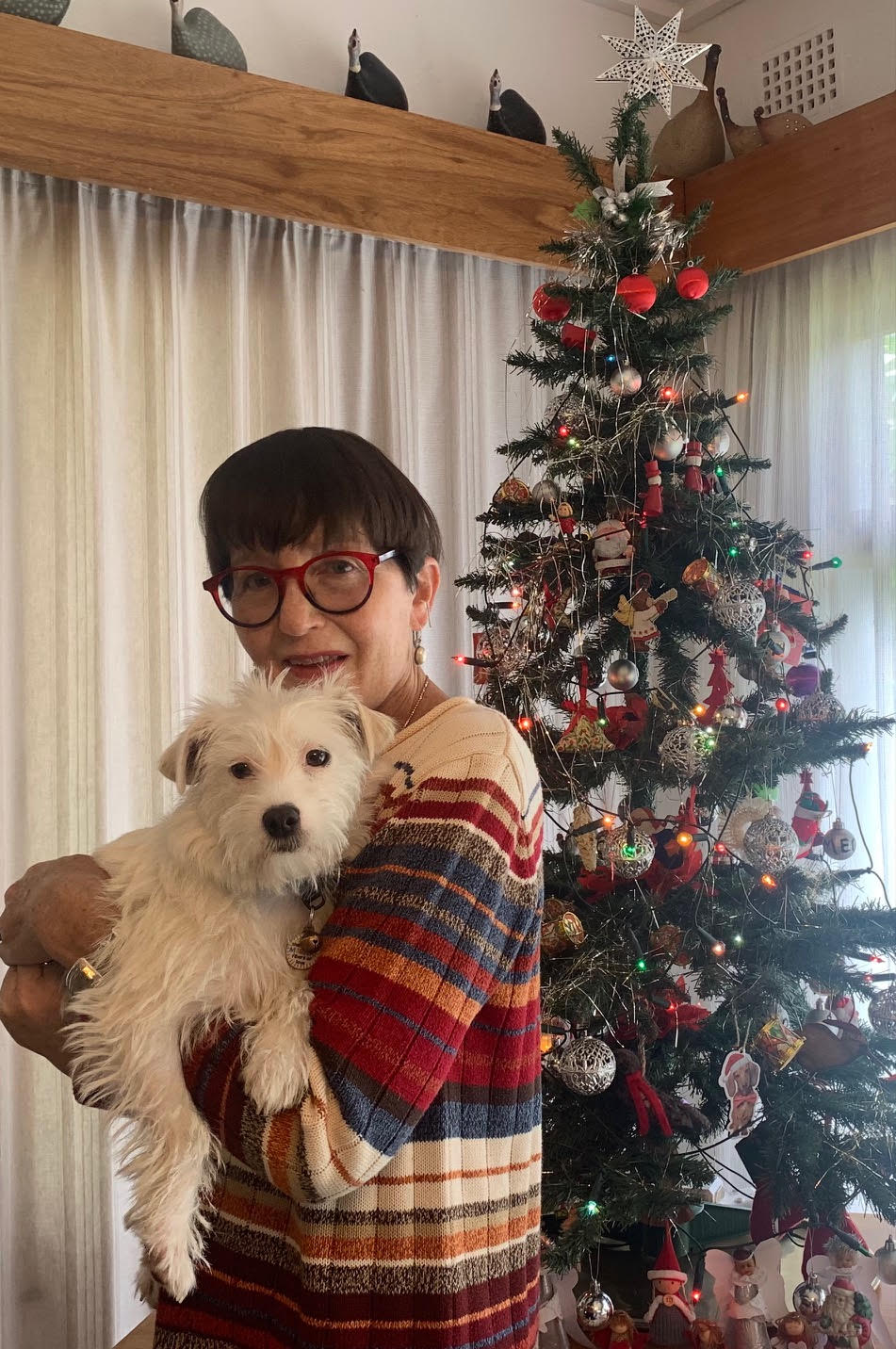 A Survivor’s Christmas!